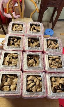 e234af5f5229c48b49b607491978432